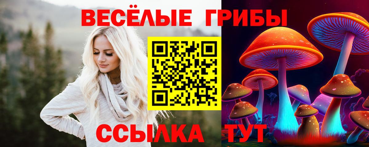 Псилоцибиновые грибы ЛСД Стрежевой